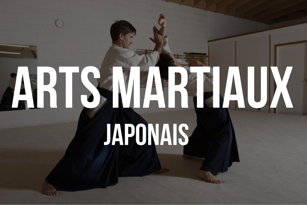 Arts martiaux japonais: histoire et pratique