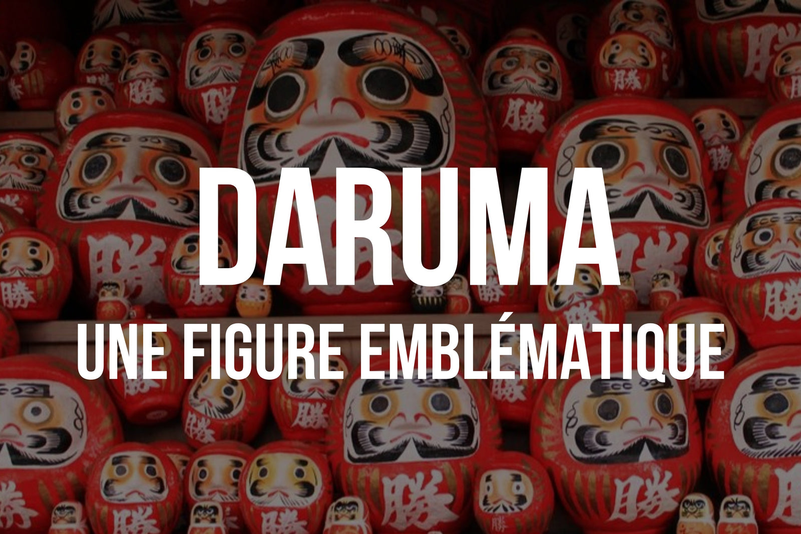 Daruma