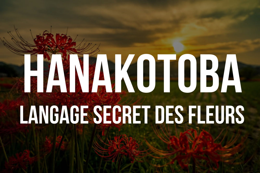 Hanakotoba: Le langage mystique des fleurs au Japon