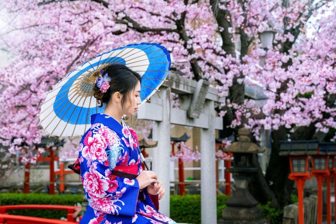 Maiko: L'élégance et la grâce des apprenties geishas