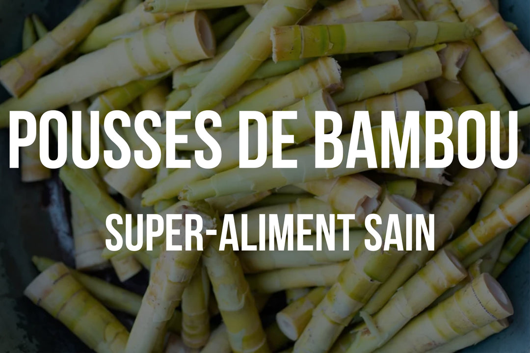 Pousses de bambou: le super-aliment sain et savoureux