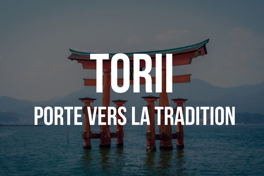 Découverte Complète de Torii : Guide Essentiel sur le Sujet