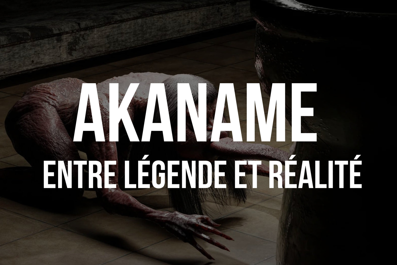 l'Akaname 