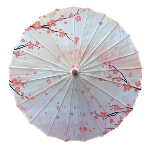 Dessin Ombrelle Japonaise rose sakura