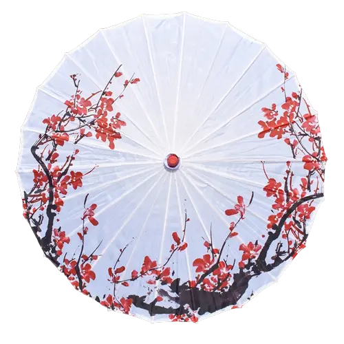 Ombrelle Blanche fleur sakura